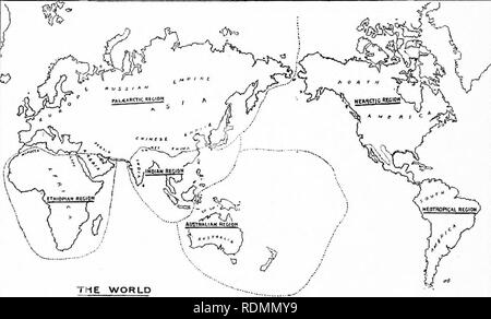 . Wunder der Vogelwelt. Vögel. Kapitel XIII GEOGRAFISCHE VERTEILUNG. Die Welt der Sammlung von Proben - Die sechs Zoo - geographischen Regionen der Welt - Regionen und Unterregionen - Provinzen und Sub-Provinzen - Sclater's Schema - Wallace Änderungen - Allen's Scheme-Dr. H.O. Forbes und Der verlorene Kontinent. Die geographische Verteilung der Tiere ist eines der interessantesten Themen, dass es möglich ist, für einen Mann zu studieren. Wie die Migration der Vögel, es ist eine schwierige und absorbieren, und es ist sehr wenig über die Tatsachen bekannt, die von Tag zu Tag hinzugefügt werden. Wie mit dem Thema der 348. Pl Stockfoto