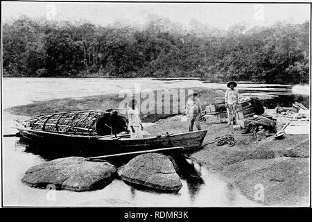 . In der Wildnis von Südamerika; sechs Jahre der Erforschung in Kolumbien, Venezuela, Guyana, Peru, Bolivien, Argentinien, Paraguay und Brasilien. Natural History. Entladen für die Portage, raudal Del Muerto.. Bitte beachten Sie, dass diese Bilder sind von der gescannten Seite Bilder, die digital für die Lesbarkeit verbessert haben mögen - Färbung und Aussehen dieser Abbildungen können nicht perfekt dem Original ähneln. extrahiert. Miller, Leo (Leo Edward), 1887-1952; Fuertes, Louis Agassiz, 1874-1927. krank; Museum der Amerikanischen Indianer, Heye Stiftung. Fmo; Huntington freie Bibliothek. Fmo. New Yo Stockfoto