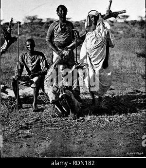 . 17 Reisen durch Somaliland und ein Besuch in Abessinien; mit ergänzenden Vorwort auf der 'Mad Mullah' Untergänge. Maxamad Cabdulle Xasan, 1864-1920; Ethnologie; Zoologie. SOMALI LAGER ANHÄNGER UND EIN REITER AUS DER BUSH. Bitte beachten Sie, dass diese Bilder sind von der gescannten Seite Bilder, die digital für die Lesbarkeit verbessert haben mögen - Färbung und Aussehen dieser Abbildungen können nicht perfekt dem Original ähneln. extrahiert. Swayne, Harald George Carlos, 1860 -. London, R. Ward, begrenzt Stockfoto