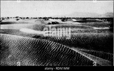 . Erhaltung reader. Natürliche Ressourcen, die Wälder und die Forstwirtschaft. 26 Erhaltung Reader. H. W. Fairbanks, wo die Natur wenig Regen vorgelegt hat; Wüste Sand Dünen. Weil seine Ressourcen verschwendet wurden. Unser eigenes Land ist jetzt Reichen und Wohlhabenden wegen der Fülle seiner natürlichen Ressourcen. Wir sollten diese gut und Sittenwidrige wir ein ähnliches Schicksal wie die Menschen in Spanien erfüllen. Wenn wir über unser eigenes Land, werden wir entdecken, dass die Natur hat sehr teilweise auf bestimmte Teile, indem Sie ihnen mehr, als Sie benötigen. Andere Teile wurden mit wenig Links. Wir werden auch entdecken, was für wunderbare Dinge Stockfoto