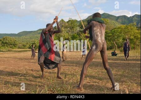 Donga Stick Fighters, Surma Stamm, Tulgit, Omo River Valley, Äthiopien, Afrika Stockfoto