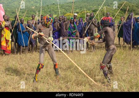 Donga Stick Fighters, Surma Stamm, Tulgit, Omo River Valley, Äthiopien, Afrika Stockfoto