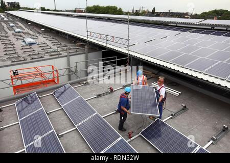 Bau einer großen Photovoltaikanlage auf mehreren Dächern, 16000 Quadratmeter, Gelsenkirchen, Nordrhein-Westfalen Stockfoto