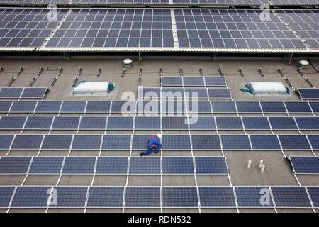 Bau einer großen Photovoltaikanlage auf mehreren Dächern, 16000 Quadratmeter, Gelsenkirchen, Nordrhein-Westfalen Stockfoto