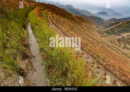 Nahaufnahme der überschwemmten Reisterrassen auf die steilen Berghänge von Longshen, China Stockfoto