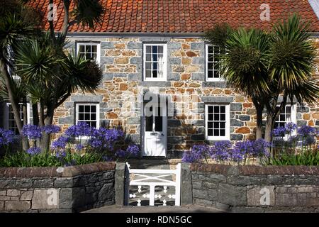 Typische Guernsey Haus aus massivem Stein und Granit, mit vielen Blumen und Pflanzen, Guernsey, Kanalinseln, Europa Stockfoto