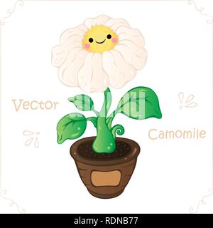 Kamille, daisy flower Vektor. Kamille, cute Cartoon daisy flower Vector Illustration für Kindergarten, Kind, Buch, Spiel. Doodle Kamille, Daisy. Kawaii cartoon Kamille, daisy flower Vector Illustration. Stock Vektor