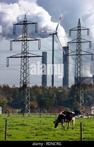 Kuh auf der Weide, auf der Rückseite eine Windenergieanlage und Schlote eines Braunkohlekraftwerks in Titz, Bergbau, in Stockfoto