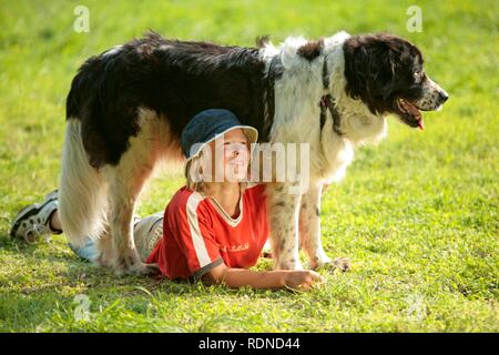 Junge liegen unter einem großen Hund auf einer Wiese Stockfoto