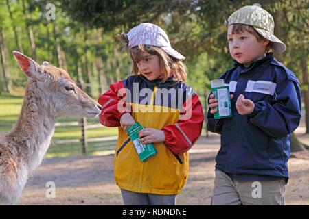 Kinder in einem Zoo Fütterung ein Reh Stockfoto