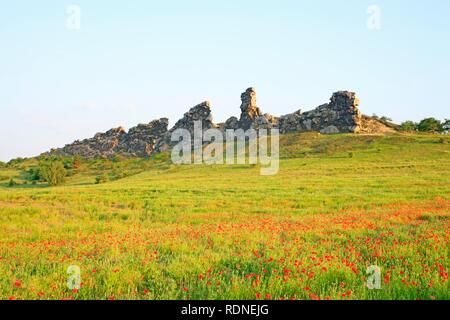 Teufelsmauer, sogenannte Devil's Wand nahe Weddersleben, östlichen Harz, Sachsen-Anhalt Stockfoto