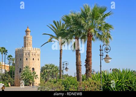 Torre del Oro, Sevilla, Andalucia, Andalusien, Südspanien, Europa Stockfoto