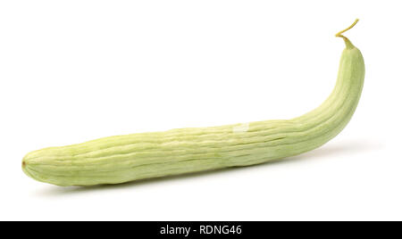 Schlange Melone isoliert auf weißem Stockfoto