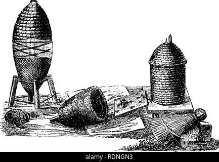 . Die Biene und weiße Ameisen, ihre Sitten und Gewohnheiten; mit Illustrationen von tierischen Instinkt und Intelligenz. Bienen; Instinkt; Termiten. g. 58.- dorf Nesselsucht. Die Biene. Seine CHARACTEE und Manieren. CHAPTEE IV. 105. Die Larven. - 106. Transformation der Arbeitnehmer Nymphe. - 107. Arbeitnehmer Zellen. - 108. Behandlung von einem jungen Arbeiter. - 109. Der drohne. - 110. Drone Nymphe. - 111. Koyal Zelle und Nymphe. - 112. Seine Behandlung. - 113. Honig Zellen. - 114. Weideland - Stand der Arbeiten - 115. Bau von Kämmen. - 116. Bemarkable Organisation. - 117. Größe und Gewicht der Bienen. - 118. Charakter der Königin. - 119. Koyal Eifersucht. - 120. Princip Stockfoto