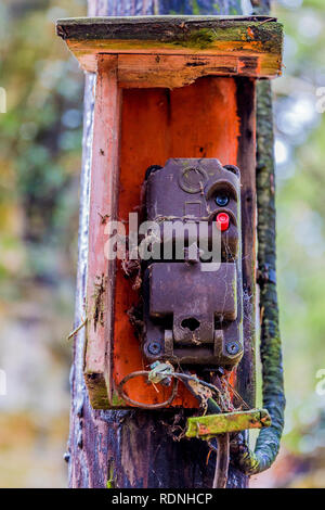 Bild eines alten dirty Control Box mit Spinnweben an eine hölzerne Stange in das Holz mit einem unscharfen Hintergrund in den Belgischen Ardennen Stockfoto