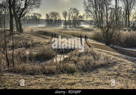 Rotterdam, Niederlande, 22. Januar 2017: winterliche Szene in Kralingen Wald, wo die Leute, die ihren Sonntag werden ausgeführt, inmitten von Frost bedeckte Gras, re Stockfoto