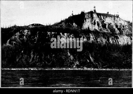 . Die Arktis Wiesen, ein Kanu-Reise von 2000 Meilen auf der Suche nach dem Caribou; wird das Konto einer Reise in die Region nördlich von Aylmer See. Hirsch Jagd. Lobsticks oder Denkmal Bäume auf die Skyline, Athabaska River. Bitte beachten Sie, dass diese Bilder sind von der gescannten Seite Bilder, die digital für die Lesbarkeit verbessert haben mögen - Färbung und Aussehen dieser Abbildungen können nicht perfekt dem Original ähneln. extrahiert. Seton, Ernest Thompson, 1860-1946. New York, C. Scribner's Söhne Stockfoto