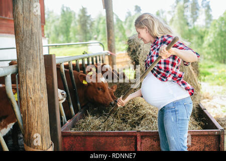 Schwangere Frau Arbeiten auf der Farm Stockfoto