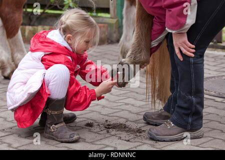Junge Mädchen die Reinigung der Hufe von einem Pony Stockfoto