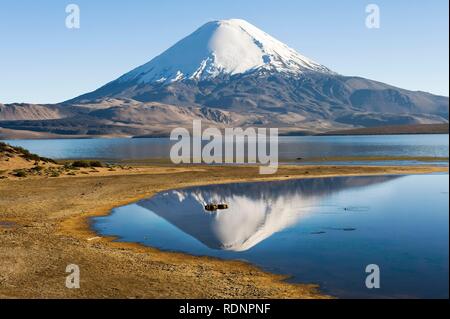 Parinacota Vulkan der Chungara See widerspiegelt, Lauca Nationalpark und UNESCO-Biosphärenreservat, Arica und Parinacota Region Stockfoto