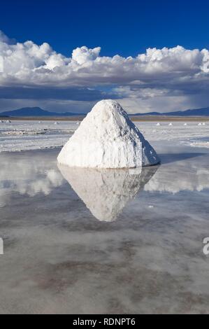 Salz Kegel, Salar de Uyuni, Potosi, Bolivien, Südamerika Stockfoto