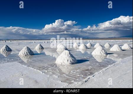 Salz-Kegel, Salar de Uyuni, Potosi, Bolivien, Südamerika Stockfoto