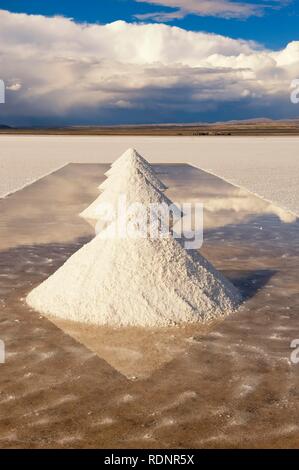 Salz-Kegel, Salar de Uyuni, Potosi, Bolivien, Südamerika Stockfoto