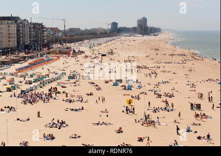 Strand von Oostende, Belgien, Europa Stockfoto