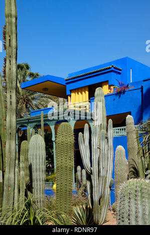 Majorelle Garten Majorelle Blaue Villa & Kakteen im Botanischen Garten oder Marrakesch Marrakesch Marokko Stockfoto