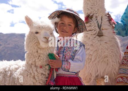 Mädchen mit Alpaka, Maca in der Nähe von Colca Canyon, Peru, Südamerika Stockfoto