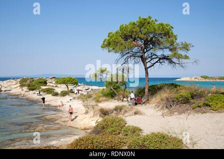 Karidi entfernt in der Nähe von Vourvourou auf der Halbinsel Sithonia in Chalcidice, Zentralmakedonien, Griechenland, Europa Stockfoto