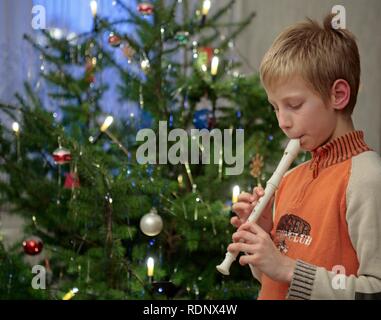 Junge Junge spielt der Recorder vor einem Weihnachtsbaum Stockfoto