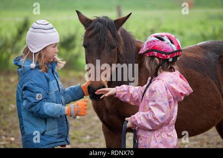 Zwei junge Mädchen mit einem Pony Stockfoto