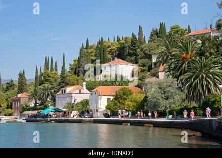 Dorf auf Kolocep Insel in der Nähe von Dubrovnik, Elaphiti oder Elafiti Inseln, Süd Dalmatien, Adriaküste, Kroatien, Europa Stockfoto