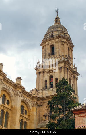 Glockenturm der Catedral de la Encarnación in Malaga, Spanien Stockfoto