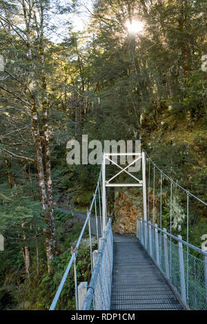 Eine Hängebrücke in einen Buchenwald führender markiert den Beginn des Routeburn Track in der Nähe von Burnie in Neuseeland. Stockfoto