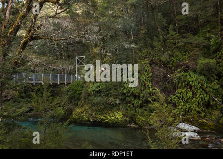 Eine Hängebrücke in einen Buchenwald führender markiert den Beginn des Routeburn Track in der Nähe von Burnie in Neuseeland. Stockfoto