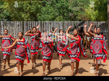 Traditionelle Swasidörfer tanzen Anzeige durch die Truppe an der Mantenga Cultural Village, Ezulwini Tal, eSwatini früher als Swasiland bekannt Stockfoto