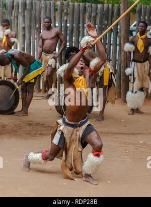 Traditionelle Swasidörfer tanzen Anzeige durch die troupe an Mantenga Cultural Village, Ezulwini Tal, eSwatini früher als Swasiland bekannt Stockfoto