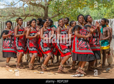 Traditionelle Swasidörfer tanzen Anzeige durch die Truppe an der Mantenga Cultural Village, Ezulwini Tal, eSwatini früher als Swasiland bekannt Stockfoto