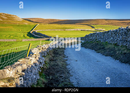 Ingleborough (723 m oder 2.372 m) ist der höchste Berg in den Yorkshire Dales. Es ist eine der Yorkshire Drei Zinnen (die anderen zwei, die Pe. Stockfoto