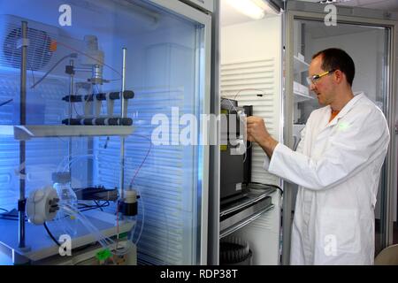 Biotechnologie Labor, Wissenschaftler am Schlauch des FPLC-System für die Proteinaufreinigung, Zentrum für Medizinische Stockfoto