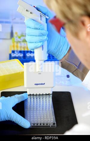 Labor, ein Wissenschaftler ist die Übertragung von Proteinen mit einer Mehrkanalpipette auf eine Kristallisation Platte, Zentrum für Stockfoto