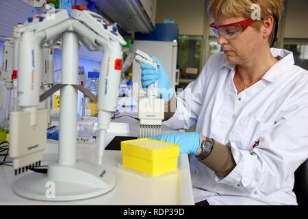 Labor, ein Wissenschaftler ist die Übertragung von Proteinen mit einer Mehrkanalpipette auf eine Kristallisation Platte, Zentrum für Stockfoto