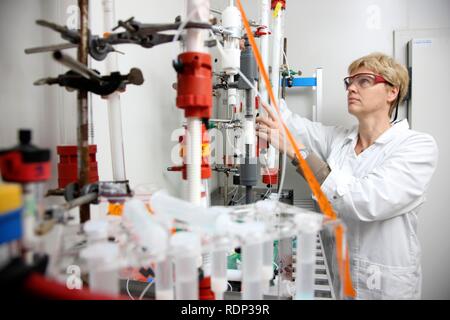 Labor, ein Wissenschaftler in einer Kühlkammer mit einer Chromatographiesäule für Proteinreinigung, Zentrum für Medizinische Stockfoto