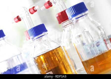 Glas Gläser, Zentrum für Medizinische Biotechnologie an der Universität Duisburg-Essen, Nordrhein-Westfalen Stockfoto