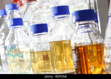 Glas Gläser, Zentrum für Medizinische Biotechnologie an der Universität Duisburg-Essen, Nordrhein-Westfalen Stockfoto