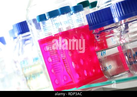 Glas Gläser, Zentrum für Medizinische Biotechnologie an der Universität Duisburg-Essen, Nordrhein-Westfalen Stockfoto