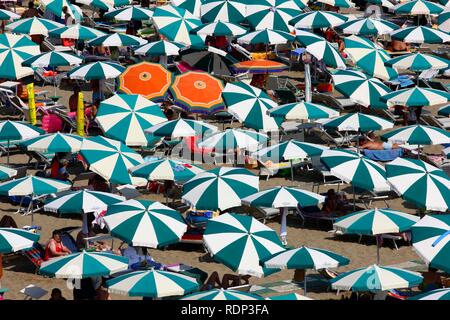 Sonnenschirme und Liegestühle, Massentourismus am Strand von Caorle, Adria, Italien, Europa Stockfoto