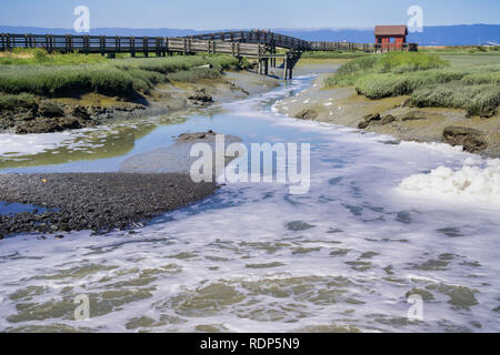 Wasser fließt durch die Sümpfe von Don Edwards Wildlife Refuge, Holzsteg und Picknick Tierheim im Hintergrund, Fremont, San Francisco Bay Area. Stockfoto